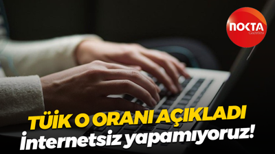 TÜİK o oranı açıkladı; İnternetsiz yapamıyoruz!