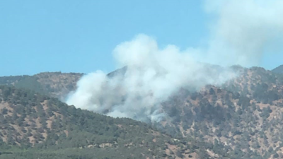 Denizli'de orman yangını!