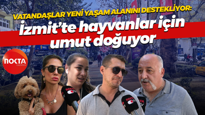 Vatandaşlar yeni yaşam alanını destekliyor: İzmit’te hayvanlar için umut doğuyor