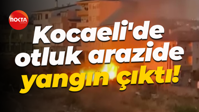 Kocaeli'de otluk arazide yangın çıktı! Ekipler müdahale etti