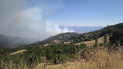 Adana'da orman yangını!