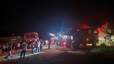 Geyve'de çıkan yangında 5 dönüm alan zarar gördü