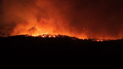 Orman yangını saatlerdir devam ediyor!