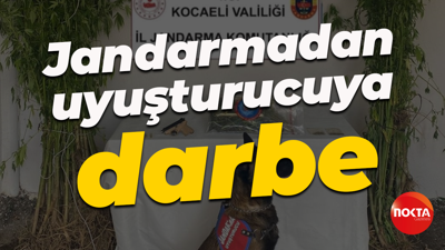Jandarmadan uyuşturucuya darbe
