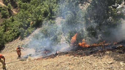 Bingöl'de orman yangını!