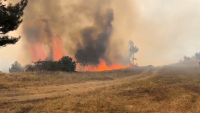 Bursa'da orman yangını!