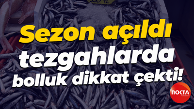 Sezon açıldı, tezgahlarda bolluk dikkat çekti!