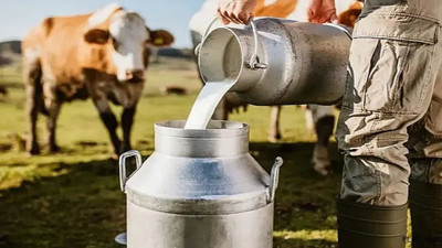 Toplanan inek sütü miktarı temmuzda arttı