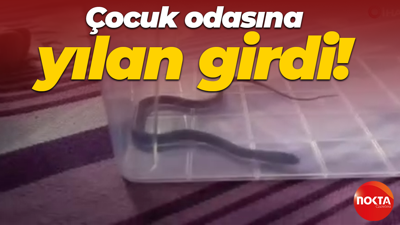 Çocuk odasına yılan girdi!