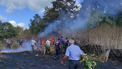 Kırklareli'nde yangın!