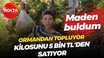 Ormandan topluyor, kilosunu 5 bin TL'den satıyor: Maden buldum