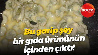 Bu garip şey bir gıda ürününün içinden çıktı!