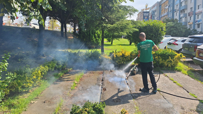 Büyükşehir, kent genelinde ilaçlama çalışmalarına başladı!