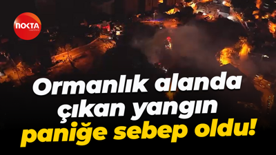 Kocaeli'de ormanlık alanda çıkan yangın paniğe sebep oldu!