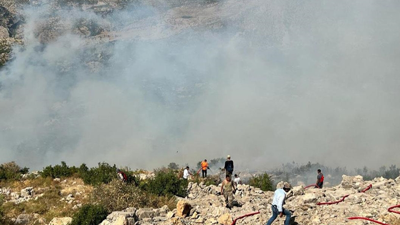 Diyarbakır'da orman yangını!
