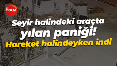 Seyir halindeki araçta yılan paniği! Hareket halindeyken indi