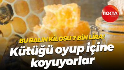 Bu balın kilosu 7 bin lira! Kütüğü oyup içine koyuyorlar