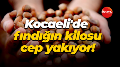 Kocaeli'de fındığın kilosu cep yakıyor!