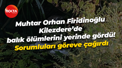 Muhtar Orhan Firidinoğlu Kilezdere’de balık ölümlerini yerinde gördü! Sorumluları göreve çağırdı