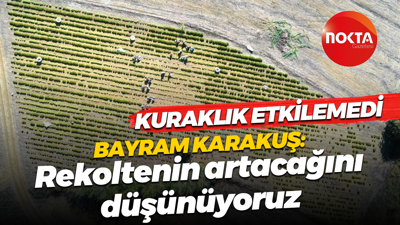 Kuraklık etkilemedi... Bayram Karakuş: Rekoltenin artacağını düşünüyoruz