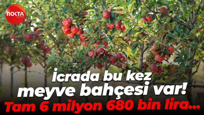 İcra dosyaları bitmiyor! Kocaeli’de bu kez meyve bahçesi satılık