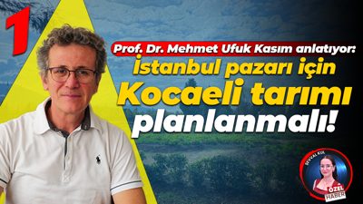 Prof. Dr. Mehmet Ufuk Kasım anlatıyor: İstanbul pazarı için Kocaeli tarımı planlanmalı!