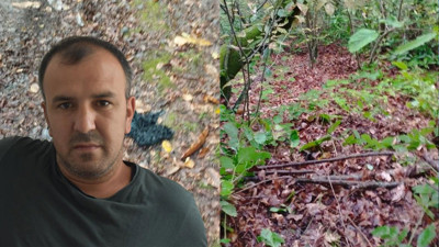 Kestane toplarken ayı saldırısına uğradı