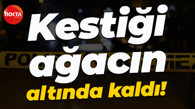 Kestiği ağacın altında kaldı!