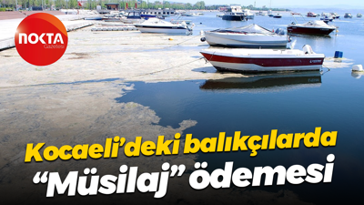 Kocaeli’deki balıkçılarda “Müsilaj” ödemesi