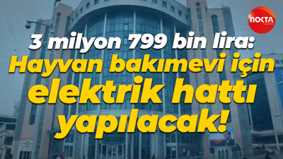 3 milyon 799 bin lira: Hayvan bakımevi için elektrik hattı yapılacak!