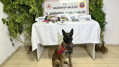 Gaziantep'te uyuşturucu operasyonu!