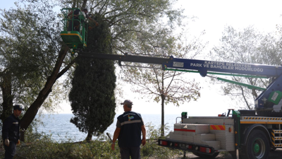 Kartepe Belediyesi'nden yeşil alanlarda bakım çalışması