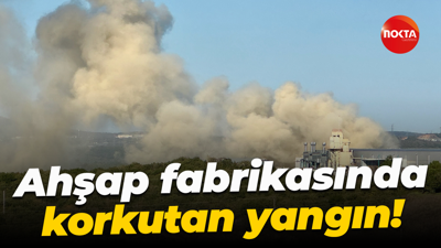 Ahşap fabrikasında korkutan yangın! Ekipler seferber oldu