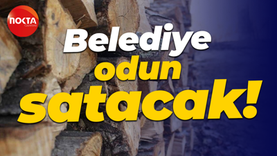 Belediye odun satacak!