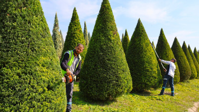 Daha yeşil bir Kocaeli için...