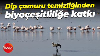 Dip çamuru temizliğinden biyoçeşitliliğe katkı