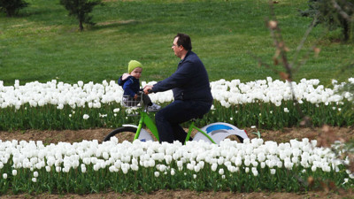Binlerce kişi pedal çevirdi... KOBİS'e ilgi yoğun
