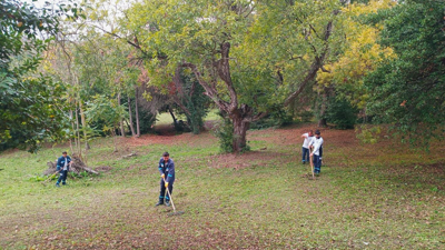 Darıca Millet Bahçesi'nde peyzaj çalışması
