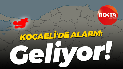 İstilacı Kahverengi Kokarca Kocaeli’ye geliyor!