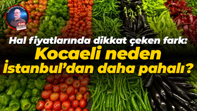 Hal fiyatlarında dikkat çeken fark: Kocaeli neden İstanbul’dan daha pahalı?