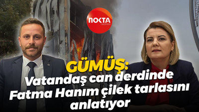 Köksal Gümüş: Vatandaş can derdin, Fatma Hanım çilek tarlasını anlatıyor