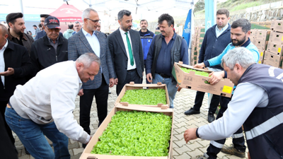Gebzeli çiftçilere destek! 500 bin adet dağıtıldı