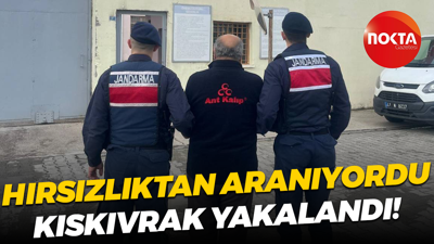 Hırsızlıktan aranıyordu, kıskıvrak yakalandı!