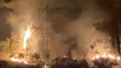 Muğla'da çıkan orman yangını kısa sürede kontrol altına alındı