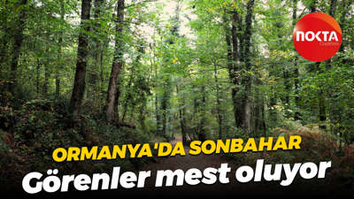 Ormanya'da sonbahar... Görenler mest oluyor