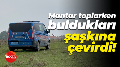 Mantar toplarken buldukları şaşkına çevirdi! İmha edildi...
