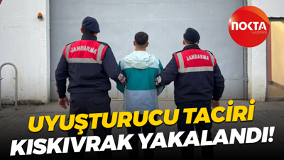 Uyuşturucu taciri kıskıvrak yakalandı!