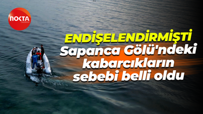 Endişeye sebep olmuştu... Sapanca Gölü'ndeki kabarcıkların sebebi belli oldu