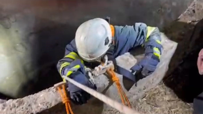 Su kuyusuna düşen çakalı itfaiye ekipleri kurtardı