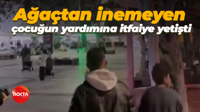 Ağaçtan inemeyen çocuğun yardımına itfaiye yetişti